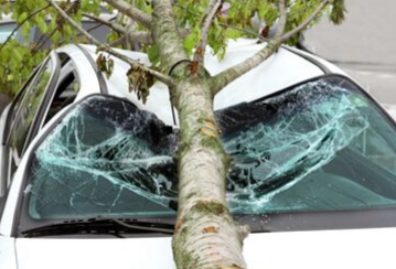 A tree fell on my car. Is this covered by my car or home insurance policy?